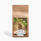 Organic Hemp Coffee Fusion - Medium Roast 4oz
